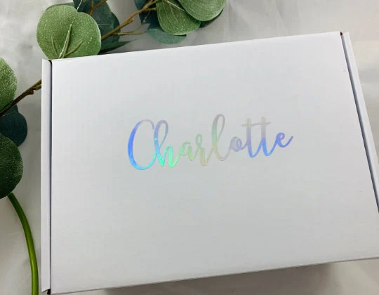 Baby Pink Happy Birthday Succulent Spa Box