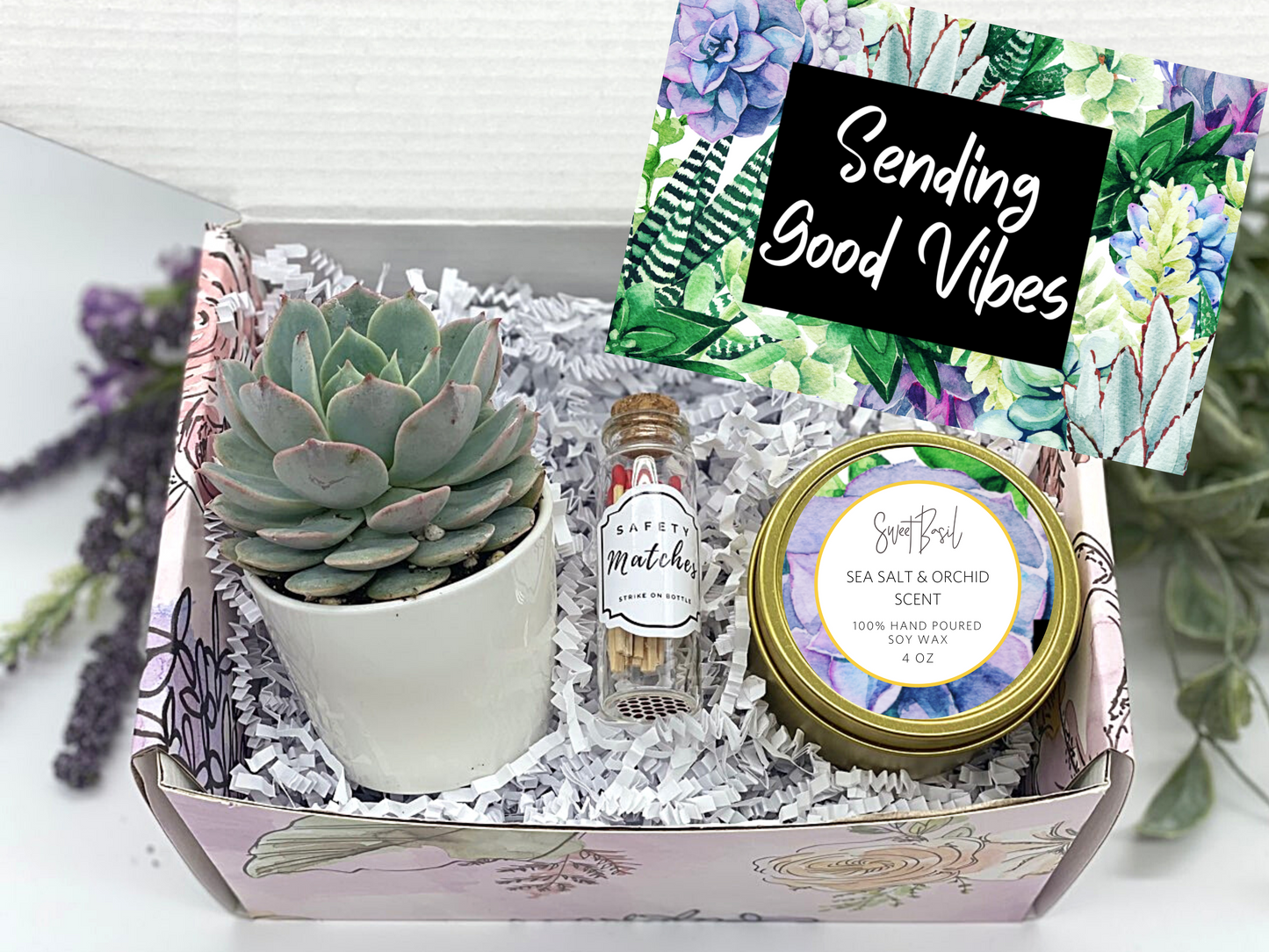Sending Good Vibes Succulent Gift Box