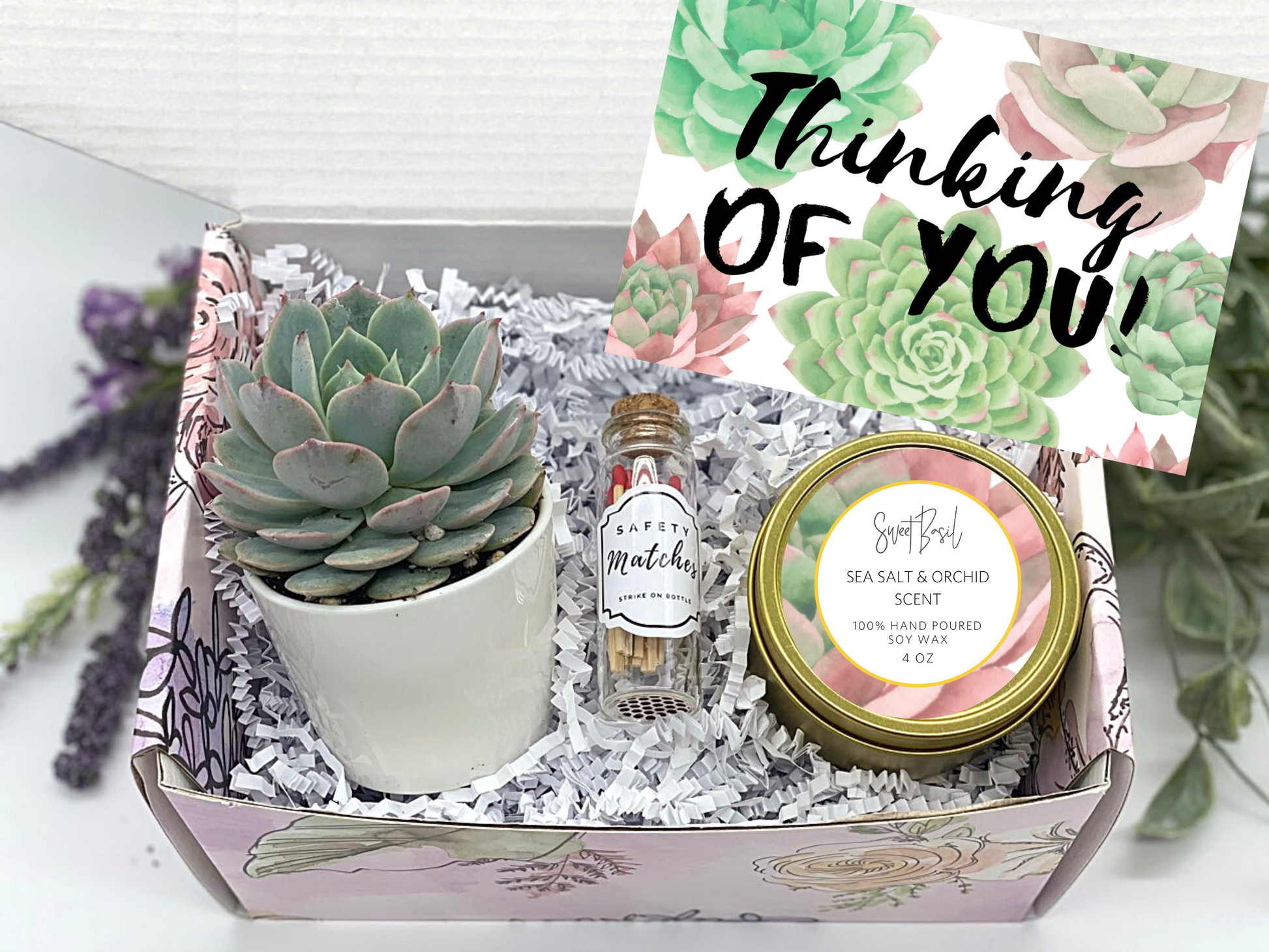 succulent box subscription Thinking of You Succulent Gift Box – Sweet Basil LLC