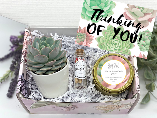 Thinking of You Succulent Gift Box