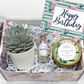 Cactus Happy Birthday Gift Box