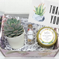 Modern Succulent Thank You Gift Box