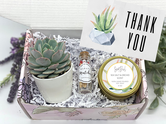 Modern Succulent Thank You Gift Box