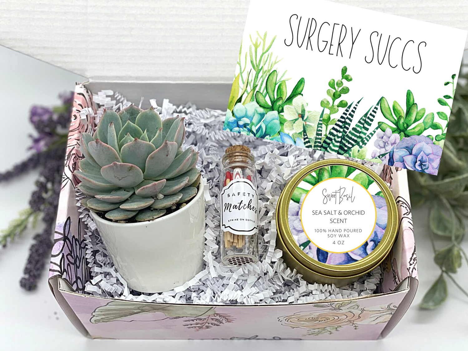 Succulent Box - THINKING OF YOU