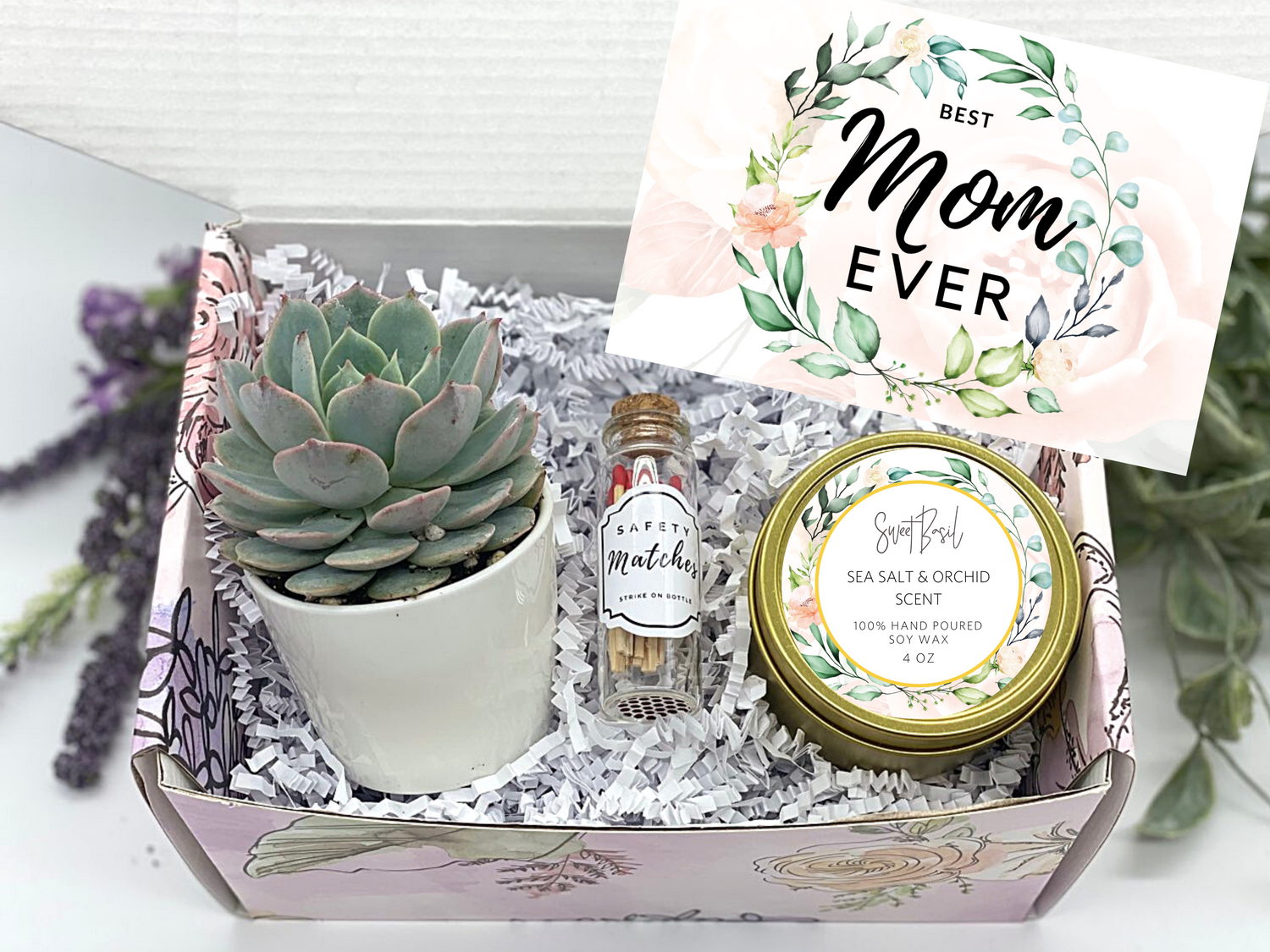 Succulent Box / MOTHER'S DAY