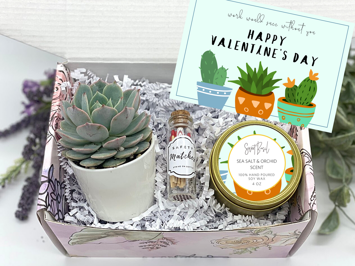Succulent Box - Valentine's Day