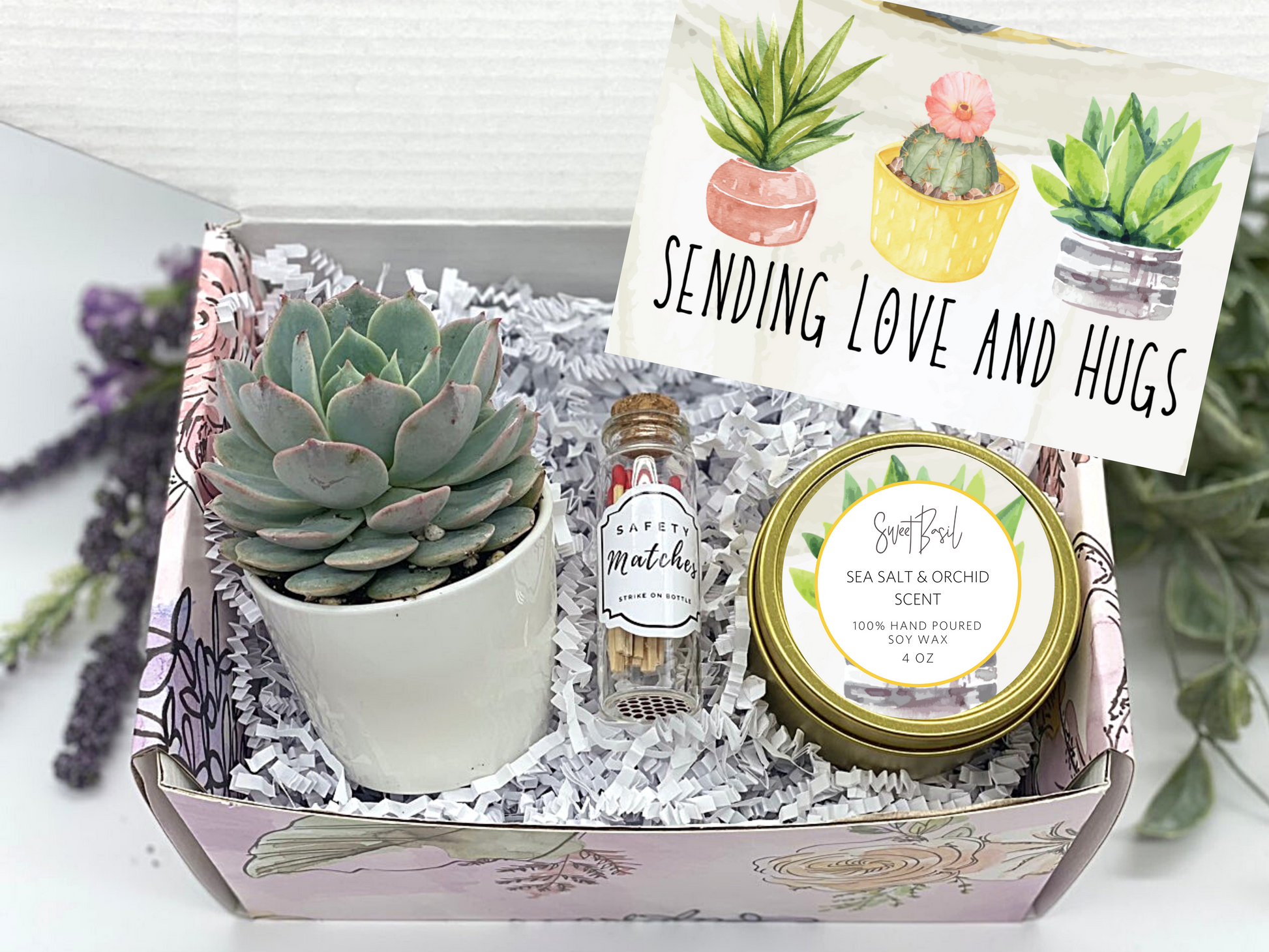 send succulent gift Sending You Love and Hugs Succulent Gift Box