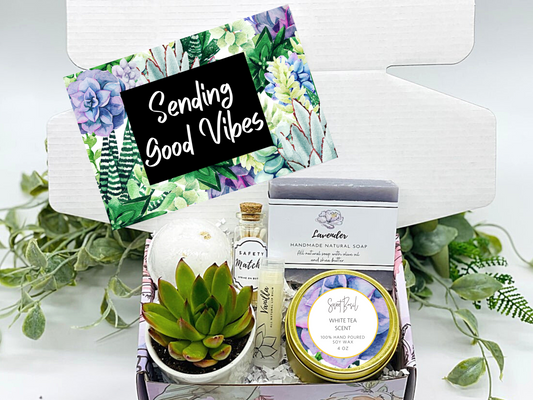 Sending Good Vibes Succulent Gift Box