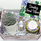 Sending Good Vibes Succulent Gift Box