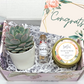 Pink Roses Congrats Gift Box