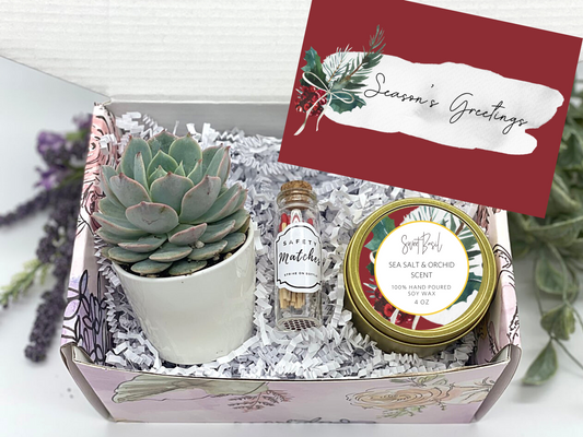 Season's Greetings Gift Box