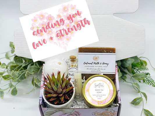Thinking of You Succulent Gift Box