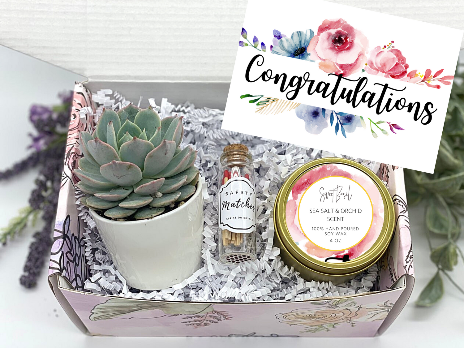 Succulent Box - Congrats