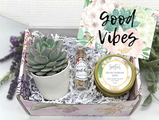 Good Vibes Succulent Gift Box