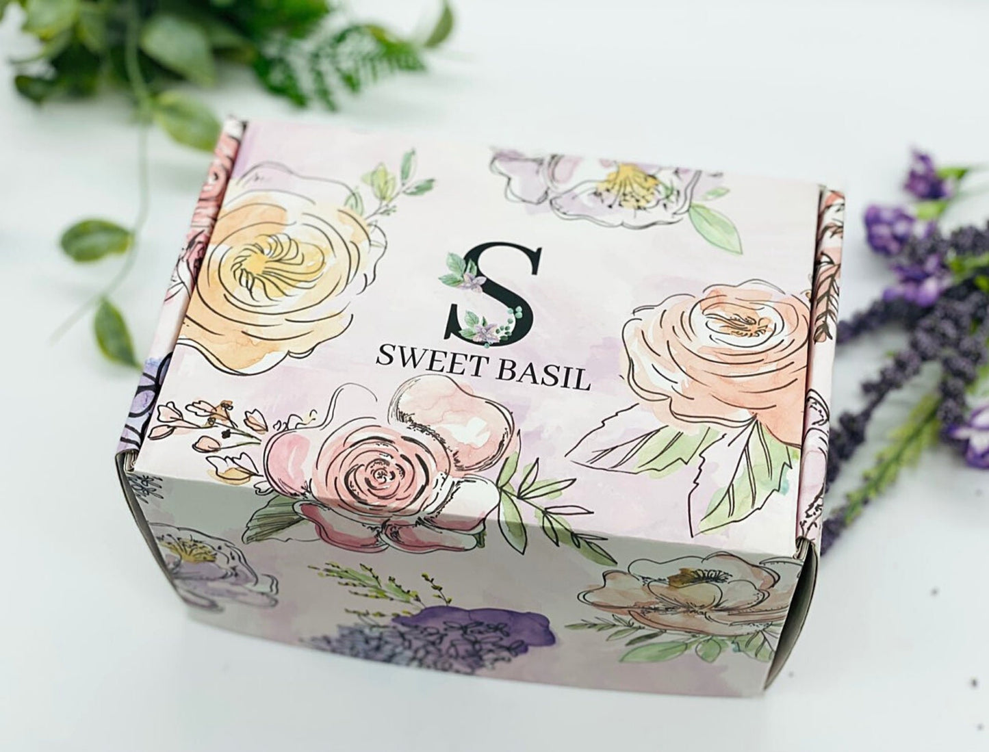 Sending You Sunshine Gift Box - Live Succulent Gift - Friendship Gift - Thinking of You Gift - Send a Gift - Care Package Set -FREE SHIPPING